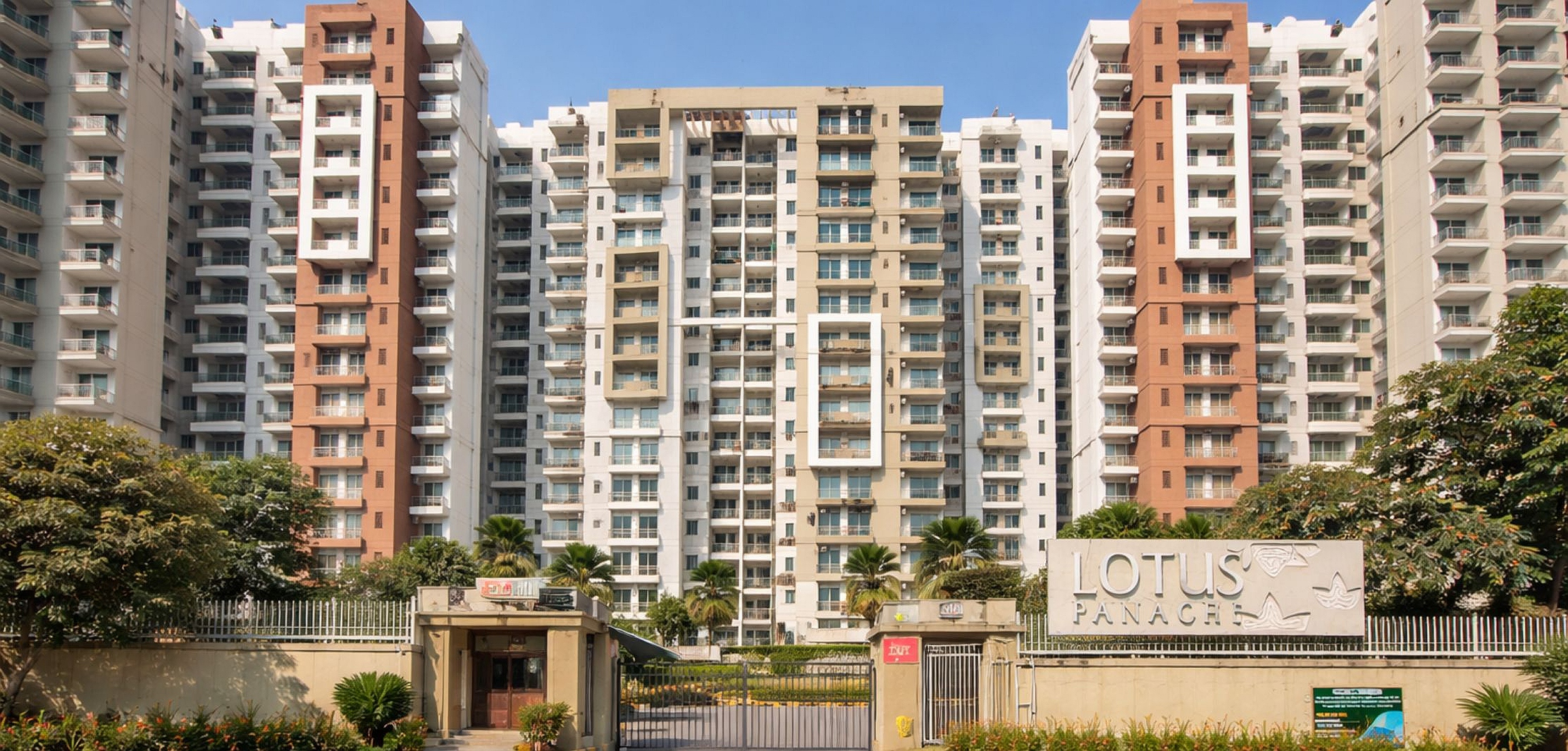 3C Lotus Panache