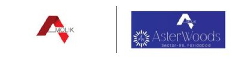  Amolik Group