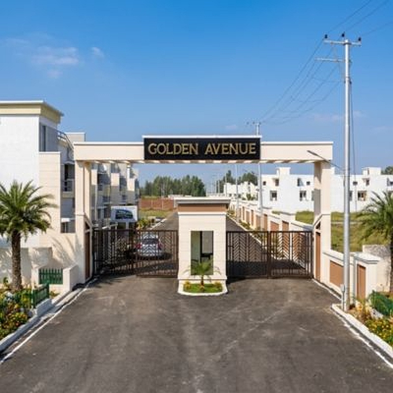 Golden Avenue