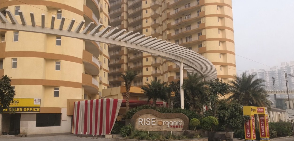 Rise Organic Homes