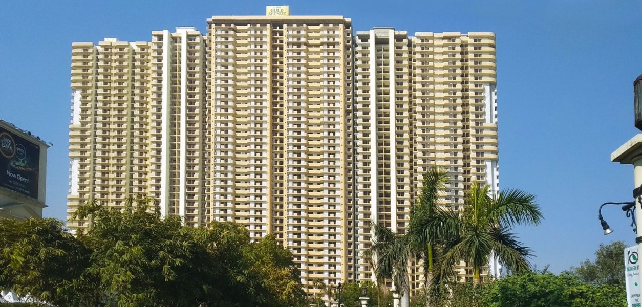 Saya Gold Avenue