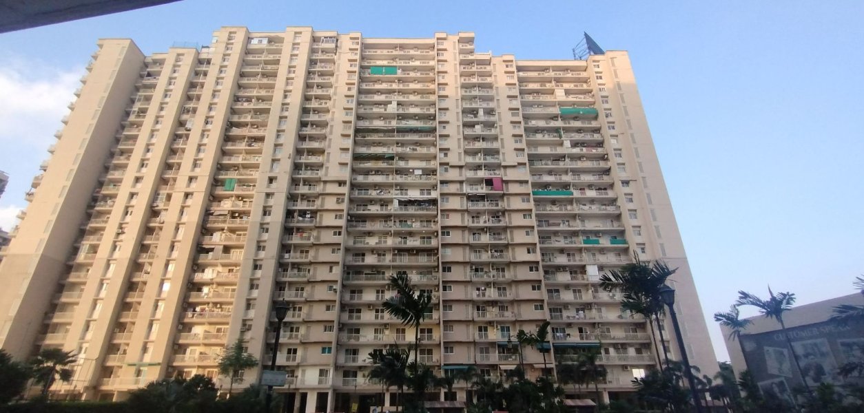 Saya Zion
